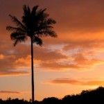 The piety of Mary is best explained by the words of Prophet Muhammad.